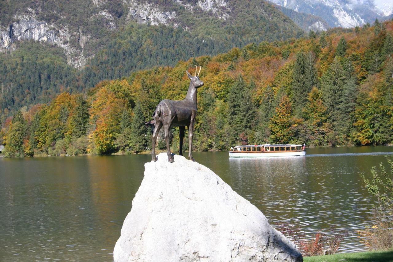 Apartment Ravnik Brod 13 Bohinj Bagian luar foto