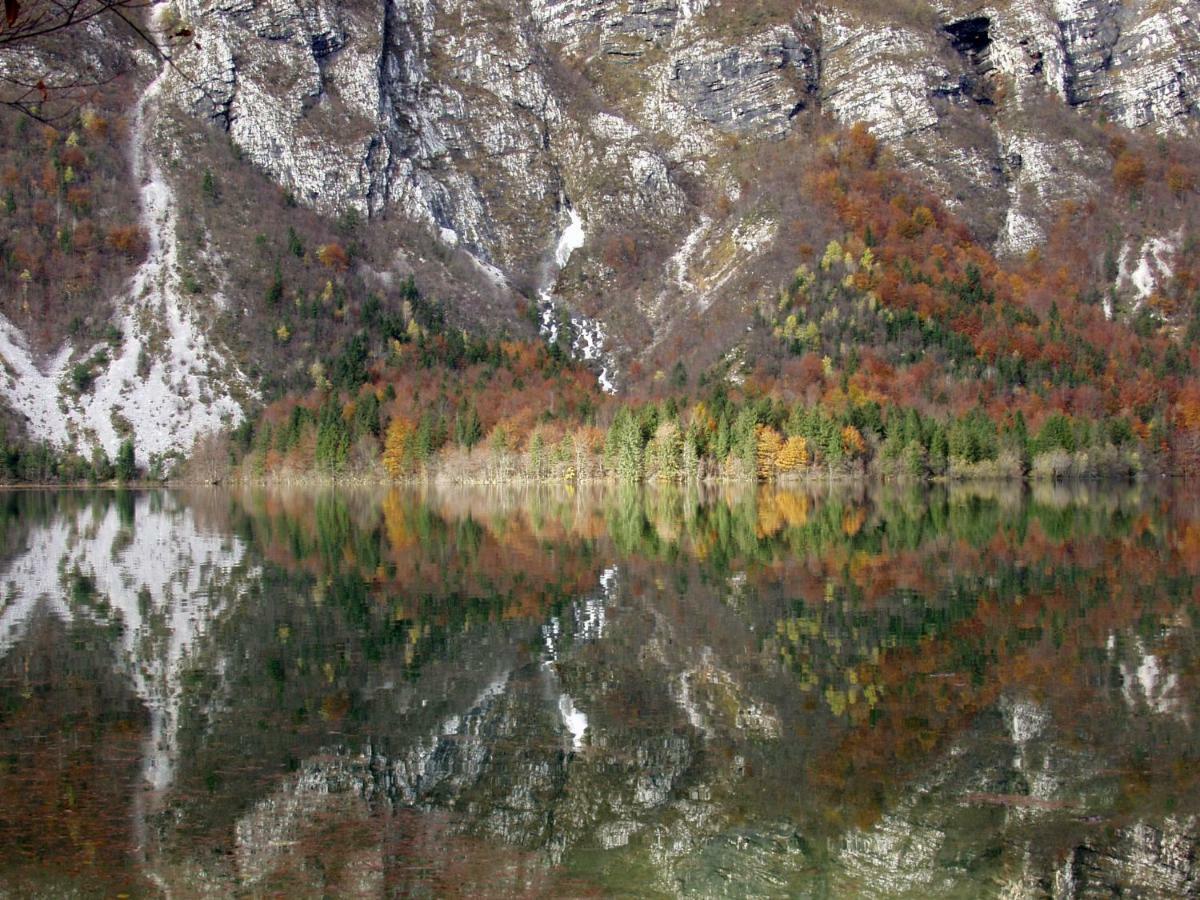 Apartment Ravnik Brod 13 Bohinj Bagian luar foto