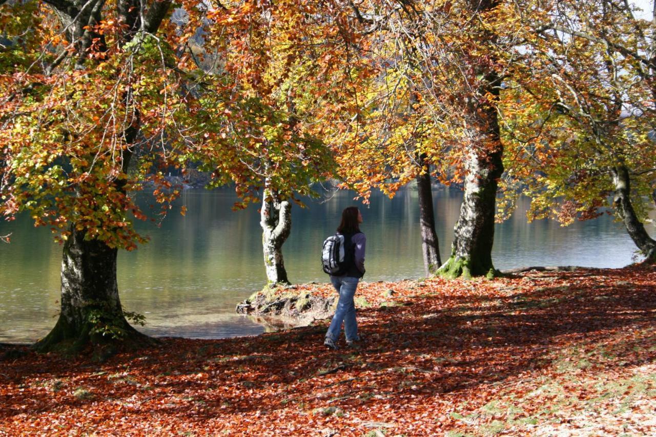 Apartment Ravnik Brod 13 Bohinj Bagian luar foto